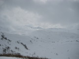 img0137.jpg