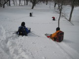 img0153.jpg