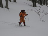img0168.jpg
