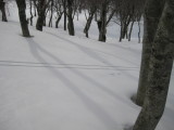 img0169.jpg