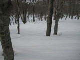 img0170.jpg