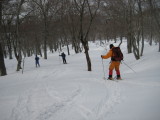 img0172.jpg