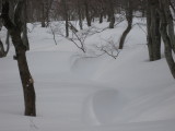 img0174.jpg