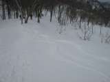 img0175.jpg