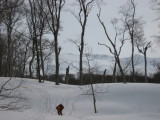 img0180.jpg