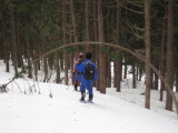 img0181.jpg