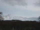 img0183.jpg