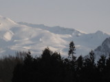 img0186.jpg