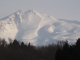 img0188.jpg